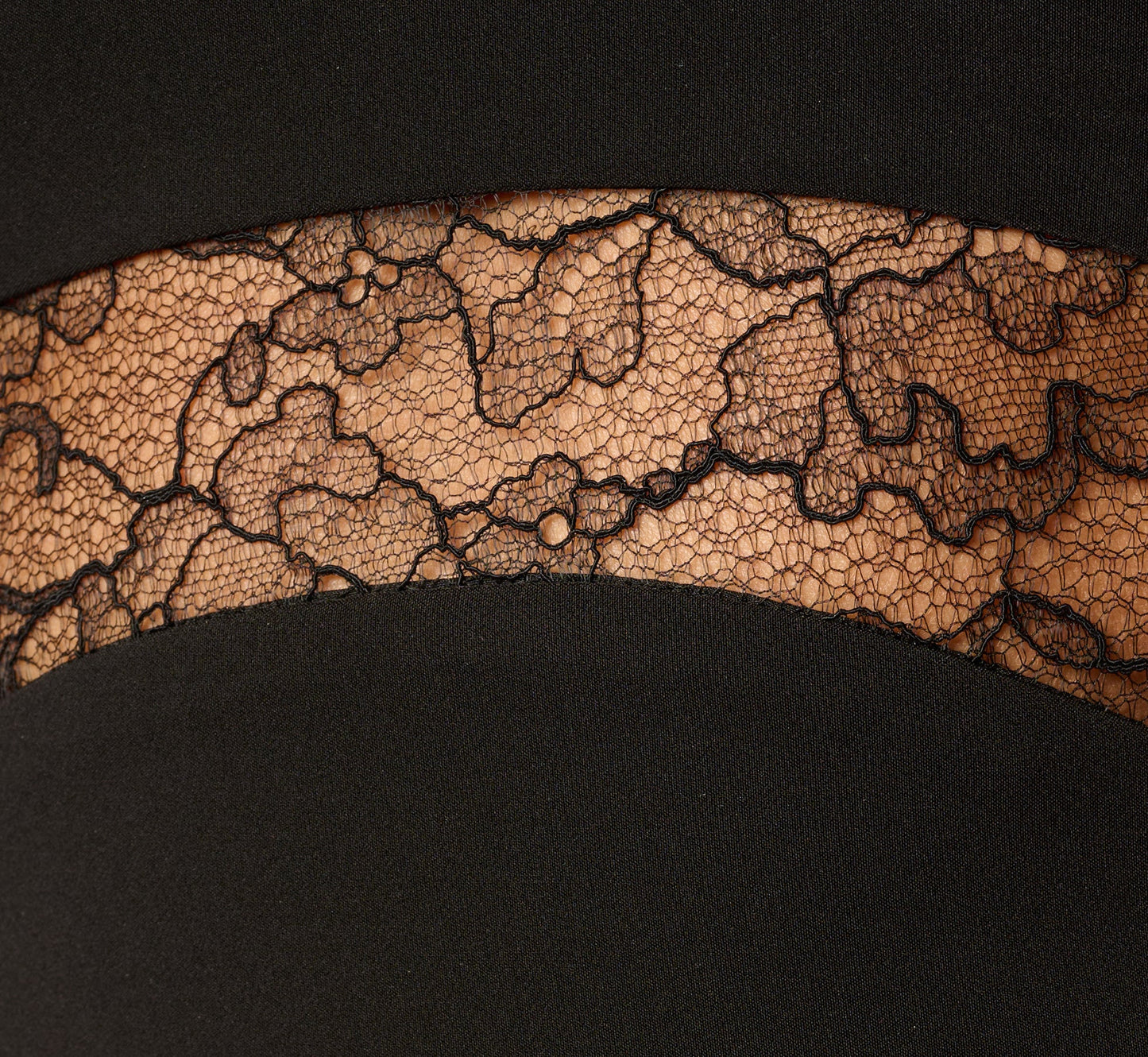 Sleeveless Lace Cutout Column Gown In Black