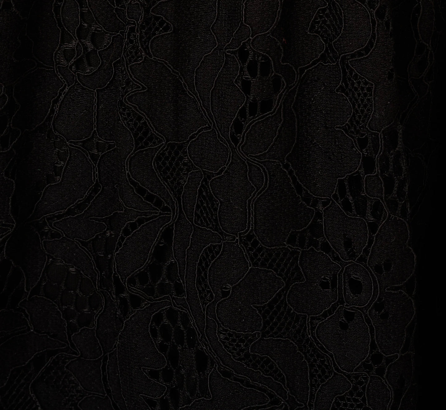 Sleeveless Collared Lace Fit And Flare Dress In Black
