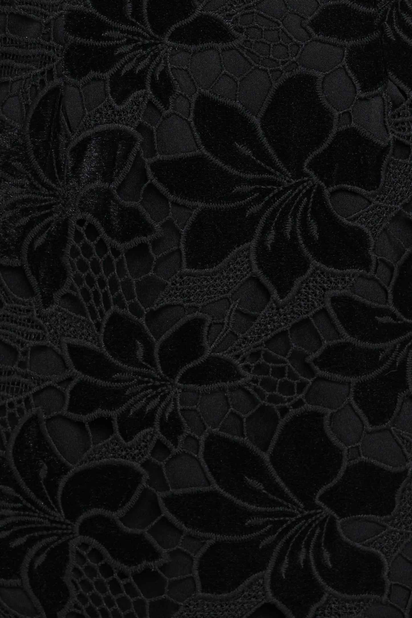 Cynthia Velvet Lace Mini Dress - Black
