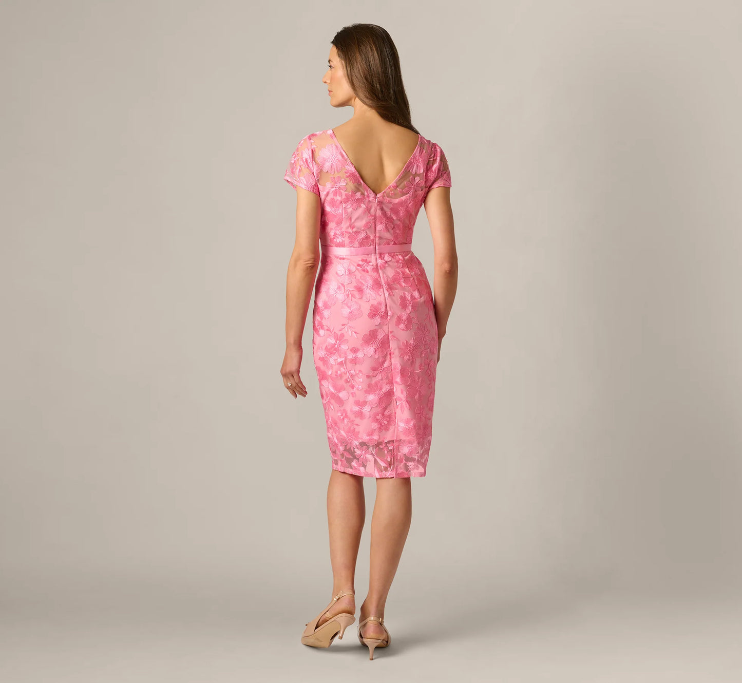 Short Sleeve Embroidered Illusion Sheath Dress In Cherry Blossom