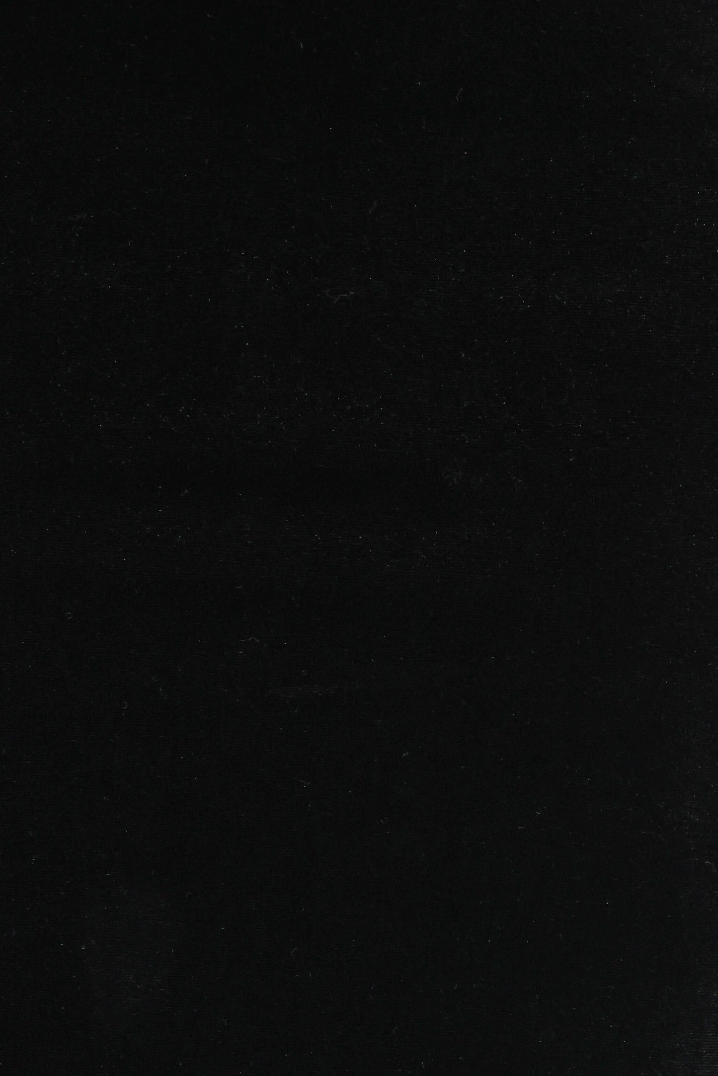 Velman Velvet Maxi Skirt - Black