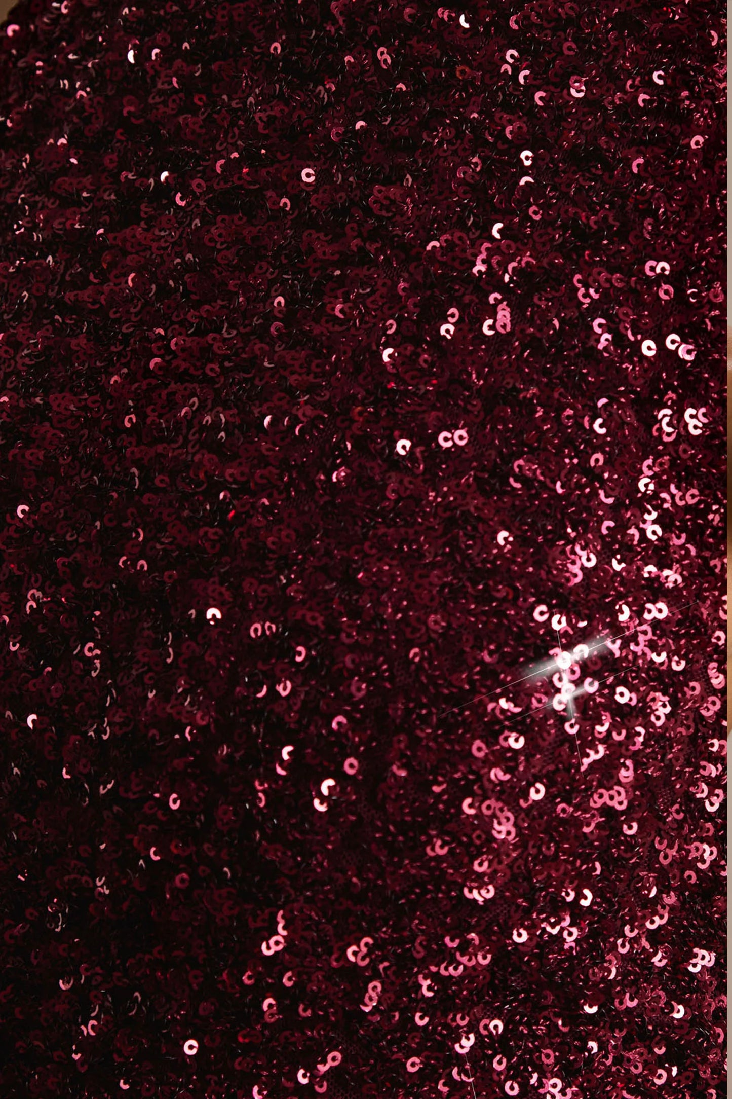 Tulia Burgundy Sequin High-Neck Maxi Dress